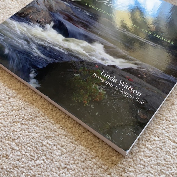 Facing Death by Linda Watson - Picture 4 of 7